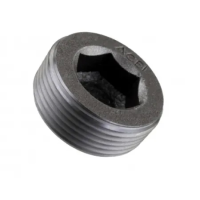 Пробка-заглушка М24х1,5 DIN 906